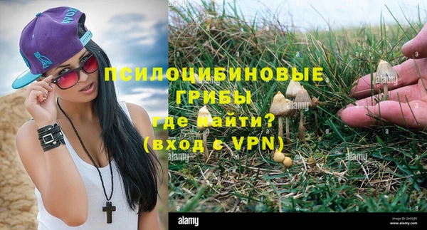 винт Аркадак