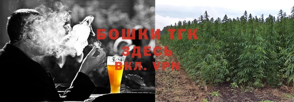 прущая мука Арсеньев