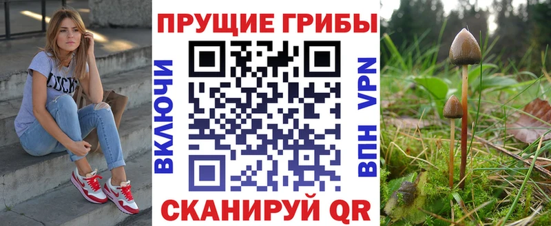 Купить  Новоульяновск  Галлюциногенные грибы прущие грибы 